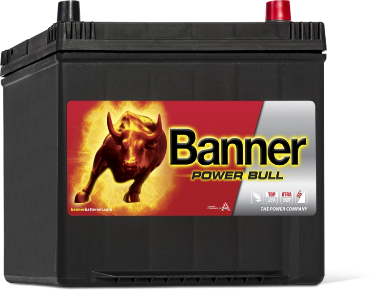 Banner Power Bull Car Battery P6068