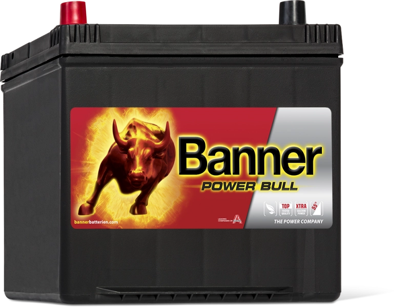 Banner Power Bull Car Battery P6069