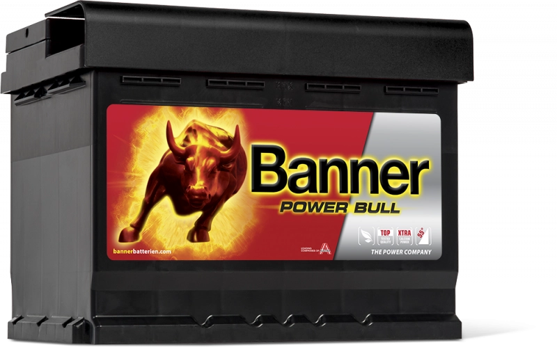 Banner Power Bull Car Battery P6219