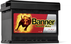 Banner Power Bull Car Battery P6219