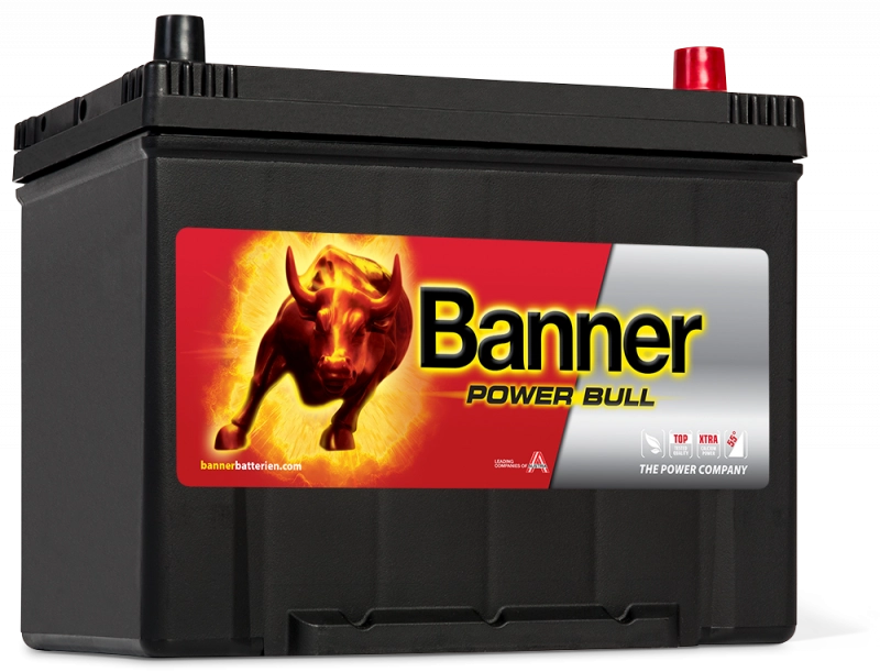 Banner Power Bull Car Battery P7029