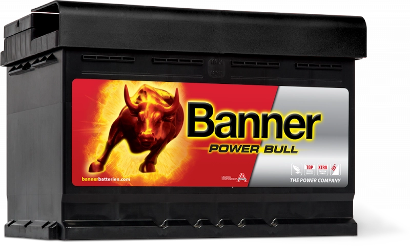 Banner Power Bull Car Battery P7209
