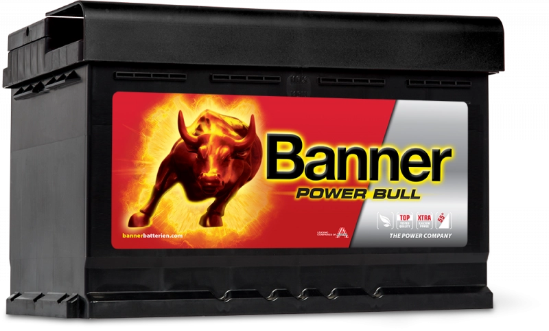 Banner Power Bull Car Battery P7412