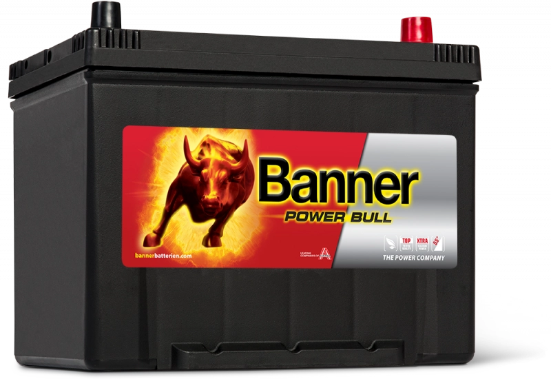 Banner Power Bull Car Battery P8009