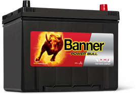 Banner Power Bull Car Battery P8009