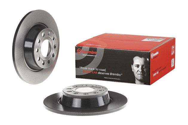 Brembo Painted Brake Disc, 08.A202.11