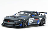 Tamiya 1/24 Ford Mustang GT4