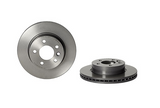 Brembo Painted Brake Disc, 09.D421.11