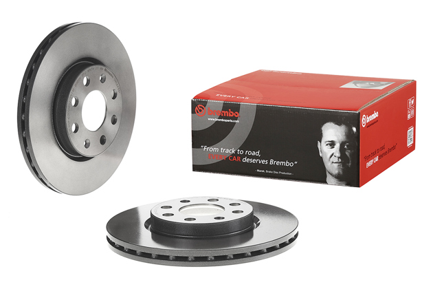 Brembo Painted Brake Disc, 09.5843.31