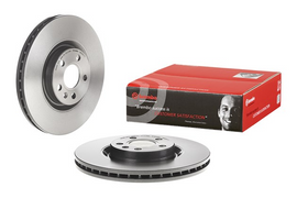 Brembo Painted Brake Disc, 09.D251.11