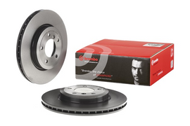 Brembo Painted Brake Disc, 09.8952.11