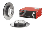 Brembo Painted Brake Disc, 08.7165.11