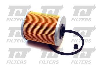 QH TJ Fuel Filter QFF0173