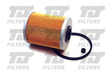 QH TJ Fuel Filter QFF0173