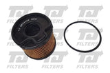 QH TJ Fuel Filter QFF0185