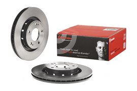 Brembo Painted Brake Disc, 09.A738.11