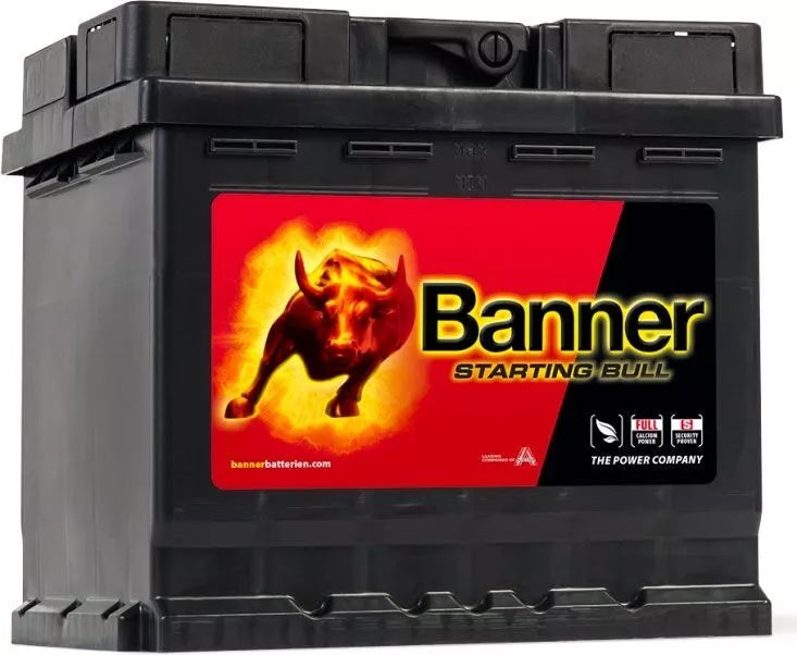 Banner 012 12V Starting Bull Car Battery 54559