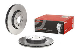 Brembo Painted Brake Disc, 09.8137.21
