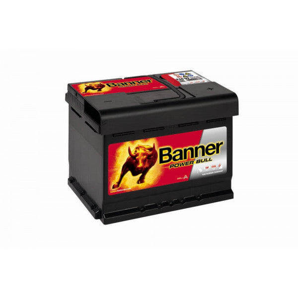 Banner P6009 SMF Battery 640 CCA 60Ah