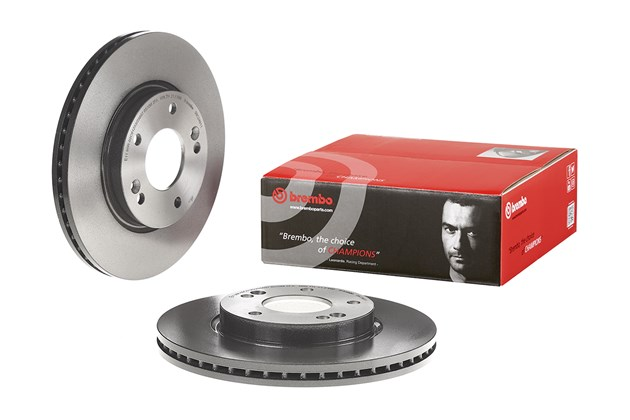 Brembo Painted Brake Disc, 09.C249.11