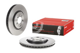 Brembo Painted Brake Disc, 09.B311.11
