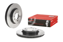 Brembo Painted Brake Disc, 09.8873.31
