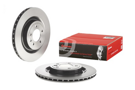 Brembo Painted Brake Disc, 09.B503.11