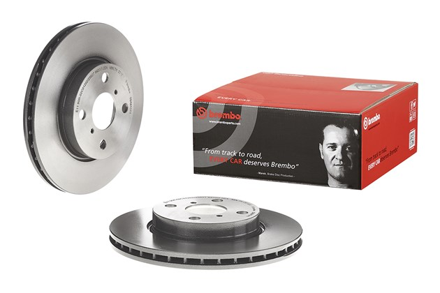 Brembo Painted Brake Disc, 09.A913.11