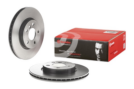 Brembo Painted Brake Disc, 09.C349.11